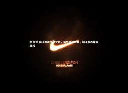 九游会-勒沃库森主场大胜，实力得到提升，勒沃库森球队图片